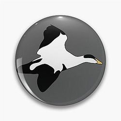 Minimalistic Common Eider Pin