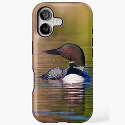 Common Loon iPhone Case