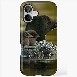 Common Loon and Chick iPhone Tough Case
