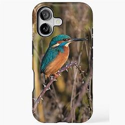 Common Kingfisher Alcedo atthis iPhone Case