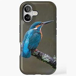 Common kingfisher Alcedo atthis iPhone Case