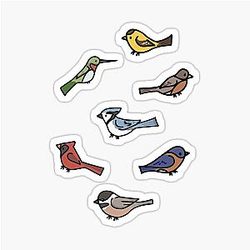 Common Birds Sticker Pack