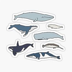 Common Whales Pack Sticker