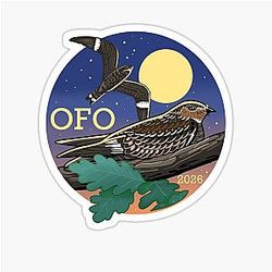 OFO Bird of the year 2026 - Common Nighthawk Sticker
