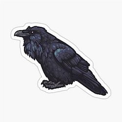 Common Raven Sticker