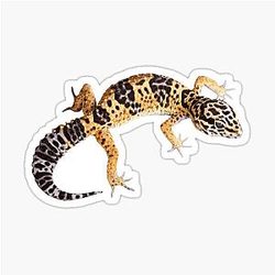 Common Leopard Gecko Sticker
