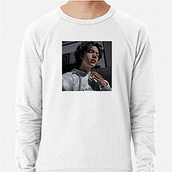 Conan Gray is a singer Conan Gray Sweatshirts