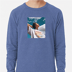 Conan Gray writes songs Conan Gray Sweatshirts