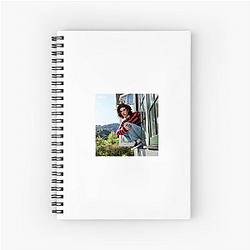 Conan Gray plays guitar Conan Gray Notebook