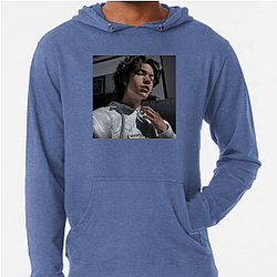 Conan Gray is a singer Conan Gray Hoodies