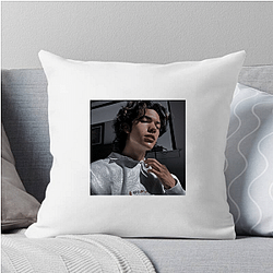 Conan Gray is a singer Conan Gray Pillows Cover