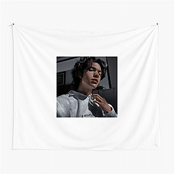 Conan Gray is a singer Conan Gray Tapestries