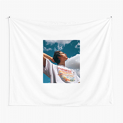 Conan Gray writes songs Conan Gray Tapestries
