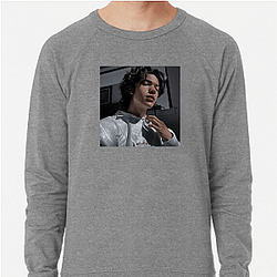 Conan Gray is a singer Conan Gray Sweatshirts