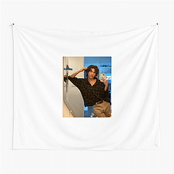 Conan Gray sings Indie Pop Conan Gray Tapestries