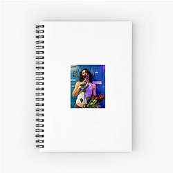 Conan Gray started on YouTube Conan Gray Notebook