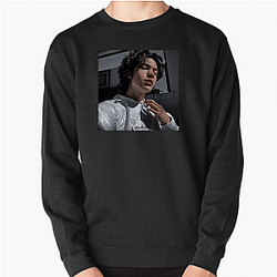 Conan Gray is a singer Conan Gray Sweatshirts