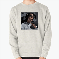 Conan Gray is a singer Conan Gray Sweatshirts