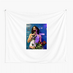 Conan Gray started on YouTube Conan Gray Tapestries
