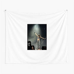 Conan Gray is American Conan Gray Tapestries