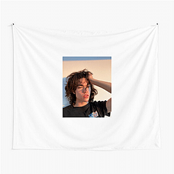 Conan Gray had a hit Conan Gray Tapestries