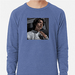 Conan Gray is a singer Conan Gray Sweatshirts