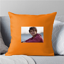 Conrad Fisher Limited Collection Conrad Fisher Pillows Cover