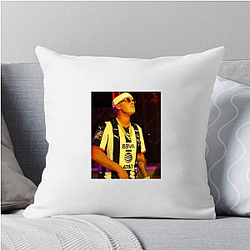 Cosculluela collaborated widely Cosculluela Pillows Cover