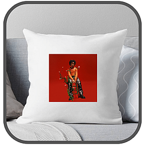 D4Vd Pillows Cover