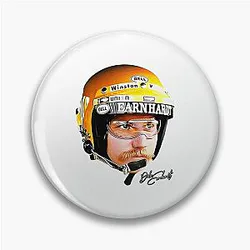Dale Earnhardt Pin