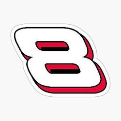 NASCAR Dale Earnhardt Jr sticker