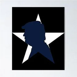 Dallas Cowboys Poster