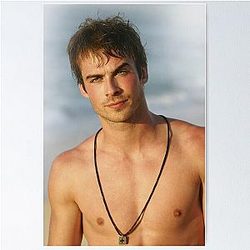 Ian Somerhalder Dame Salvatore Poster