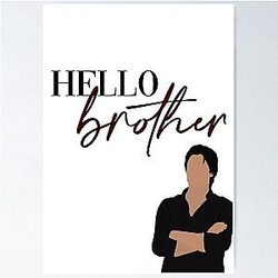 Hello Brother Damon Salvatore Vampire Diaries Poster
