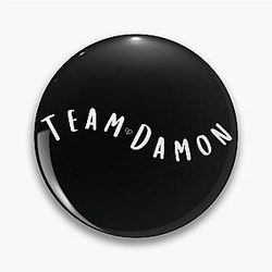Team Damon Salvatore the Vampire Diaries