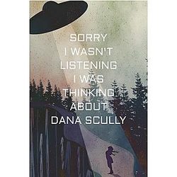 Sorry I wasn't listening I was thinking about Dana Scully: A Notebook for Scully Fans