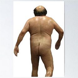 Naked Danny Devito Poster is a very strange title weeekkkk

Naked Danny Devito