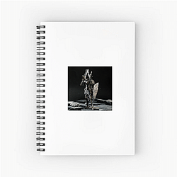 Dark Souls Special Collection Dark Souls Notebook