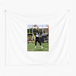 Darnell Washington Limited Collection Darnell Washington Tapestries