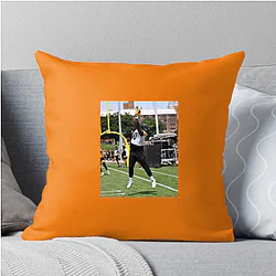 Darnell Washington Limited Collection Darnell Washington Pillows Cover