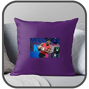 Darnell Washington Pillows Cover