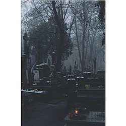 The Dead of Winter Journal