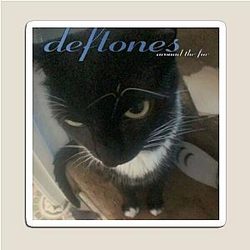 Deftones Around the Fur