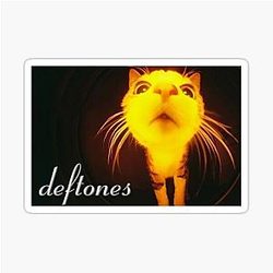 Deftones Cat