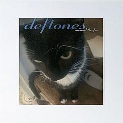 Deftones Around the Fur Poster
