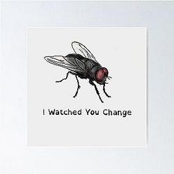 Change in the House of Flies Deftones Poster
