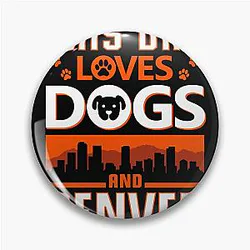 Art Denver Broncos Pin