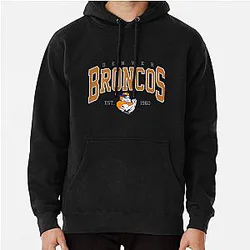 Art Denver Broncos Hoodie