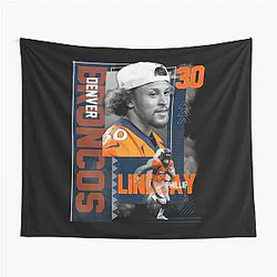 Art Denver Broncos Tapestry