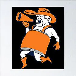 Denver Broncos Poster